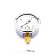 Dubex Manometer Glycol gefüllt 0 - 15 bar M0416