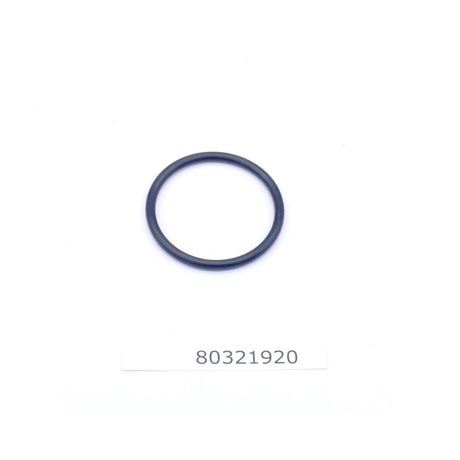 Dubex O-Ring für 250L Pumpe 80321920