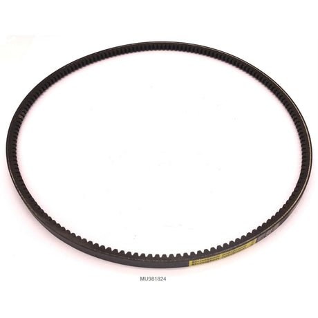 Keilriemen zu MU-M - 1600MM MU981824