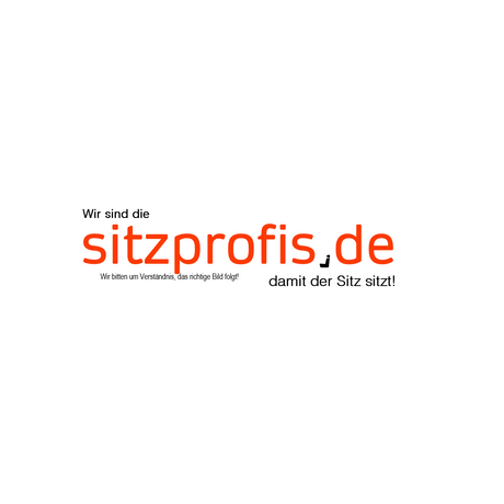 Polstersatz Heizung 24V, Kunstleder Actimo 1203426